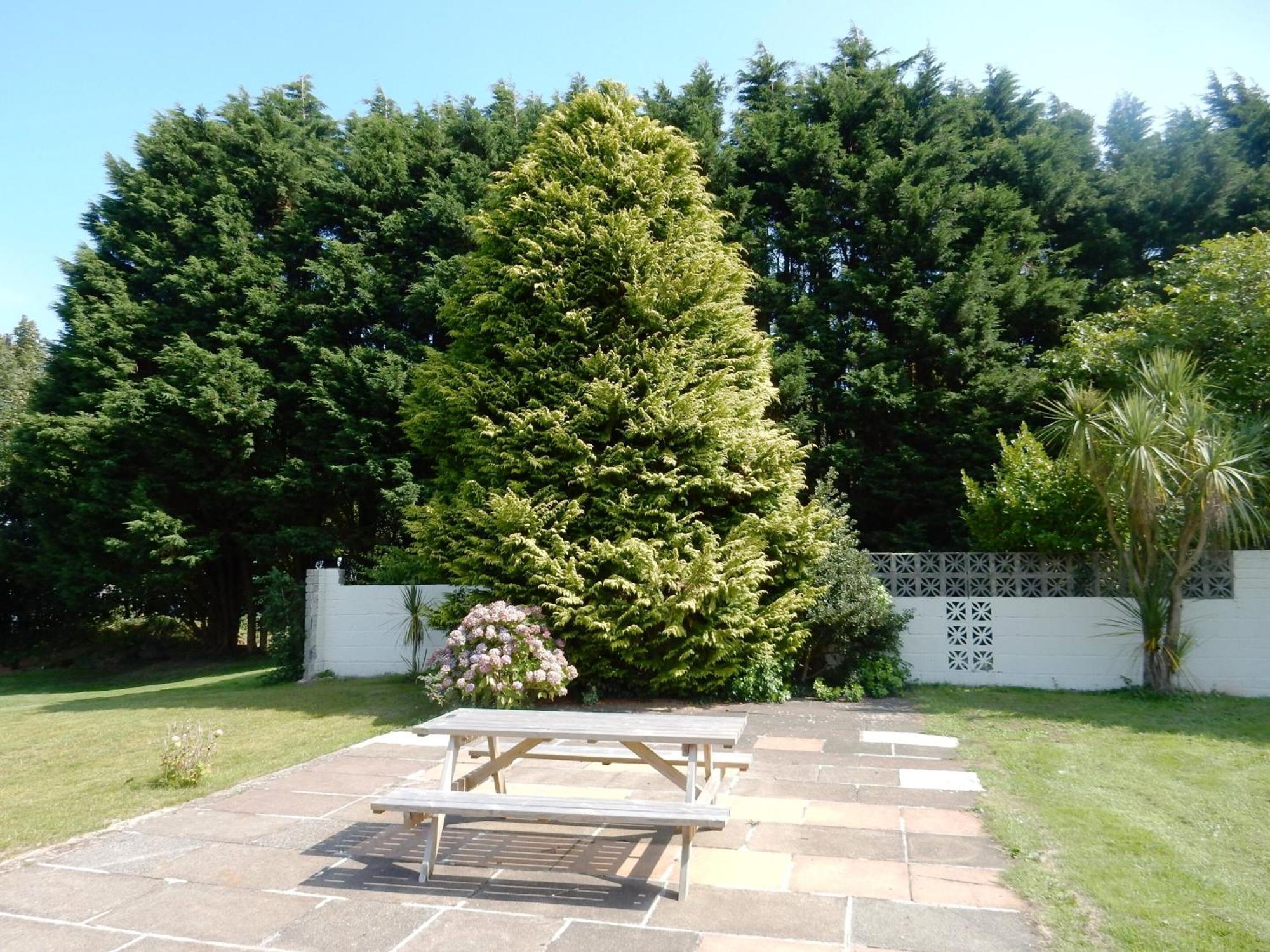 Sheena'S Dartmouth Chalets Esterno foto